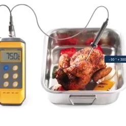 Termometro Digitale Antiurto Con Sonda